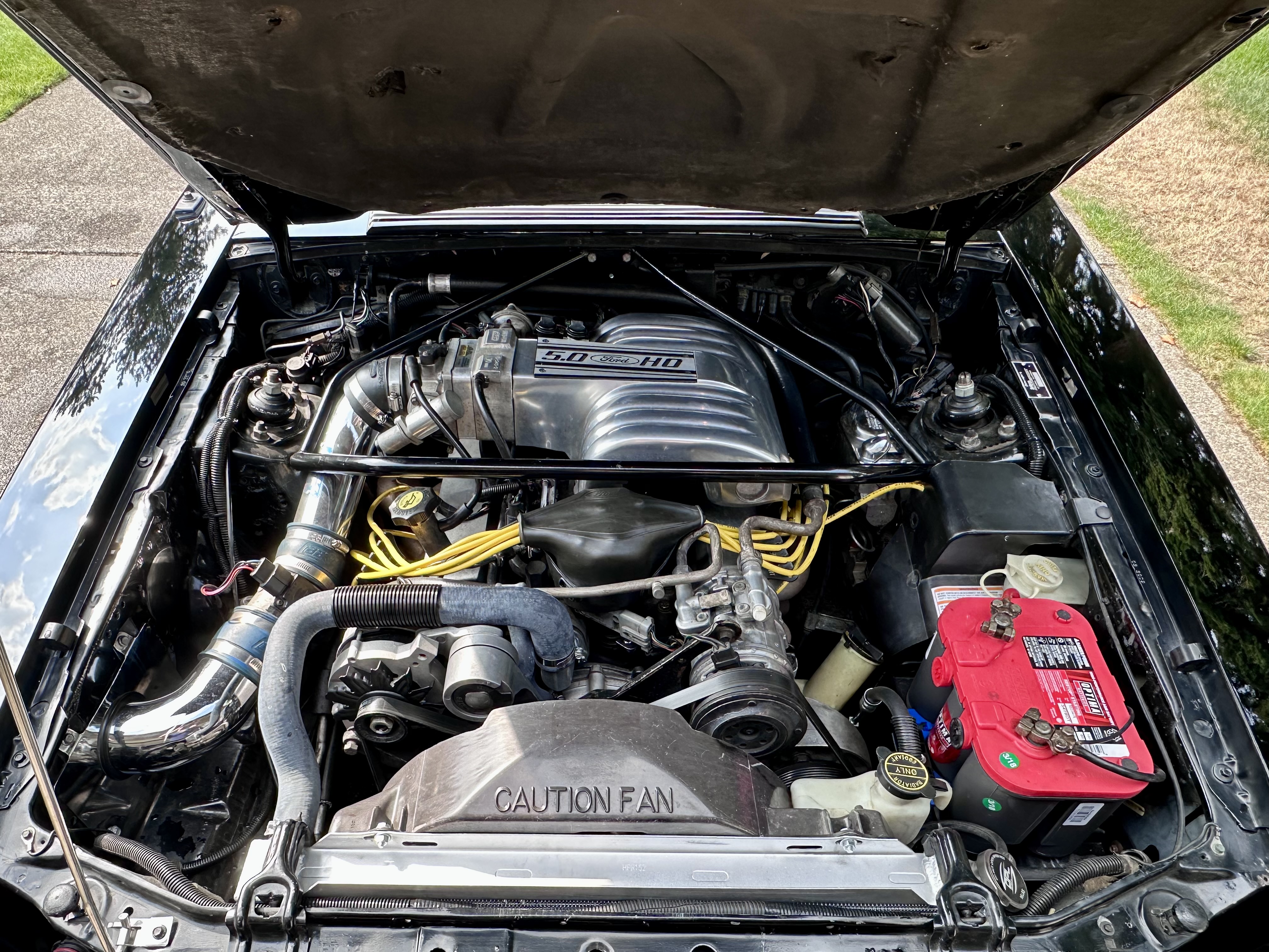 Engine Bay