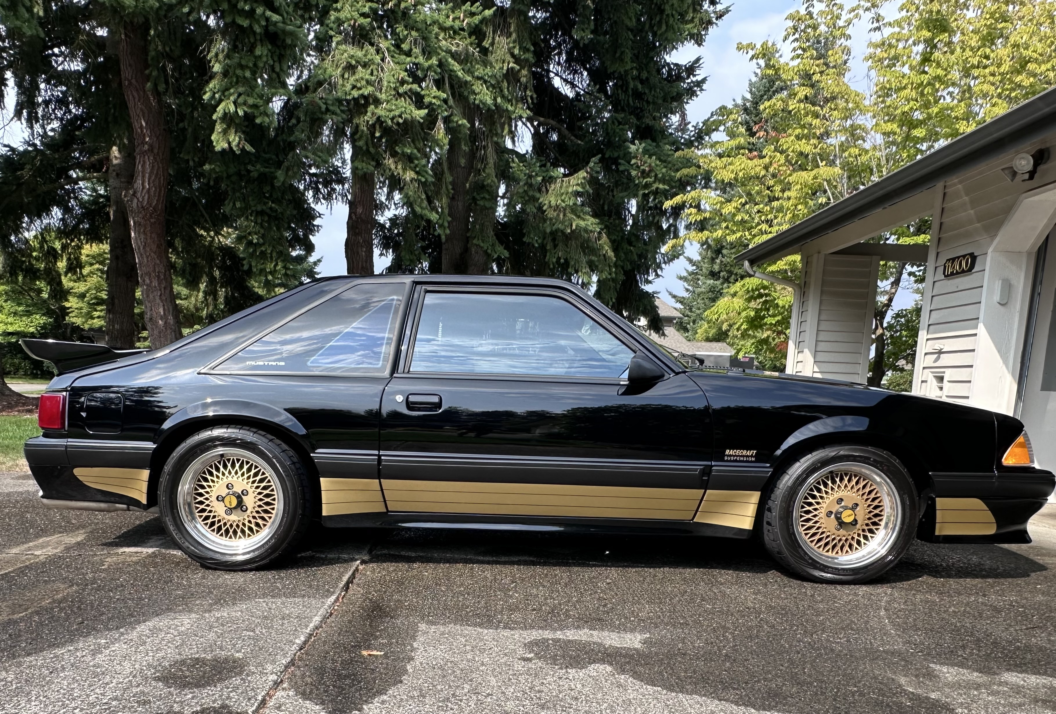 Saleen Mustang Side View