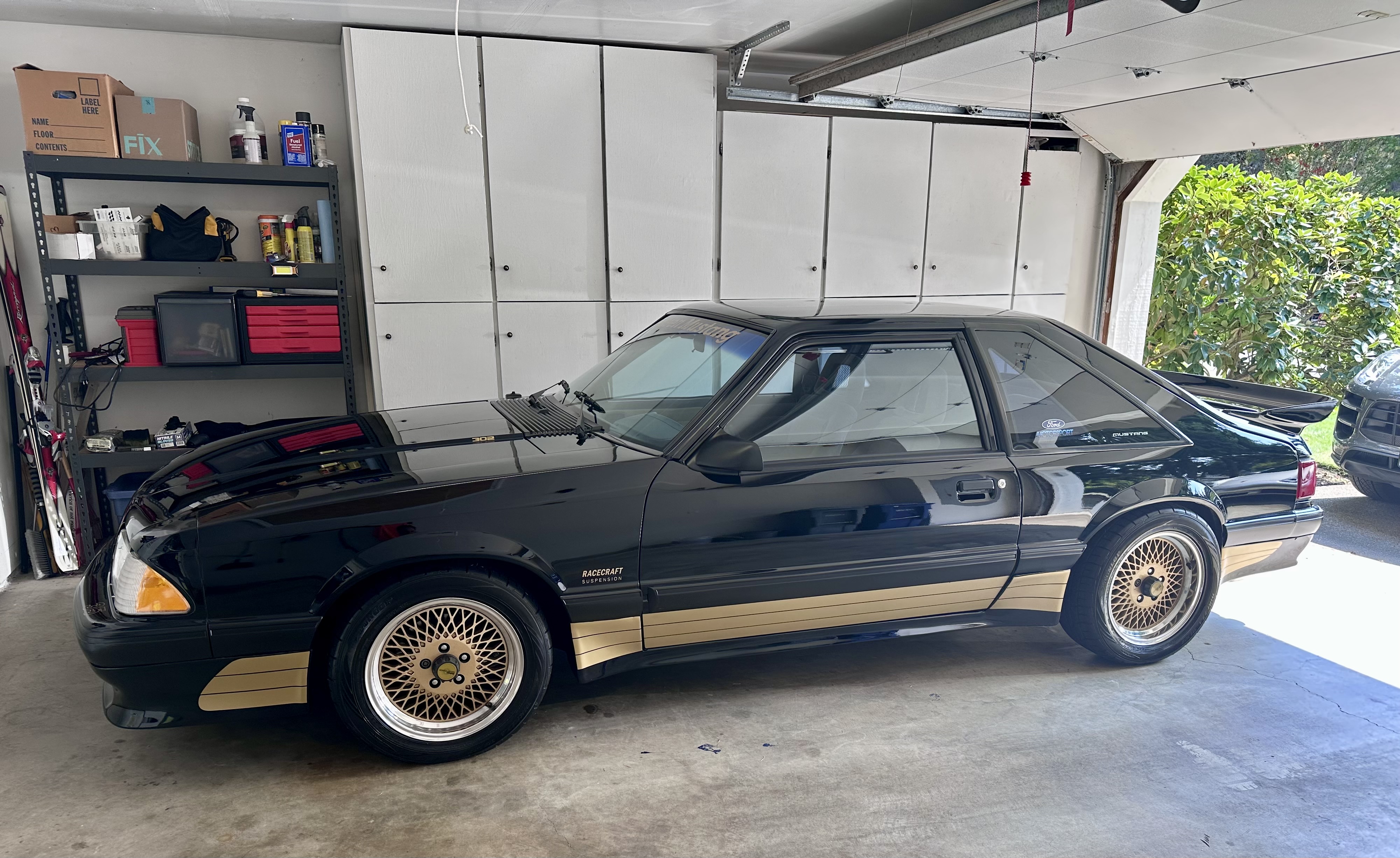 Saleen Mustang Detail